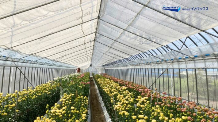 Lưới bảo ôn Camfine Innovex