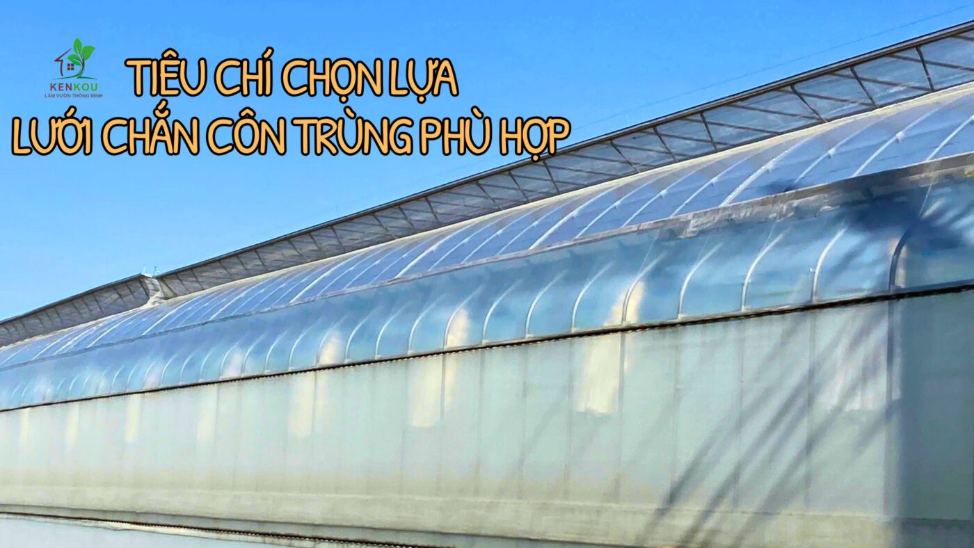 Các tiêu chí lựa chọn lưới chắn côn trùng phù hợp
